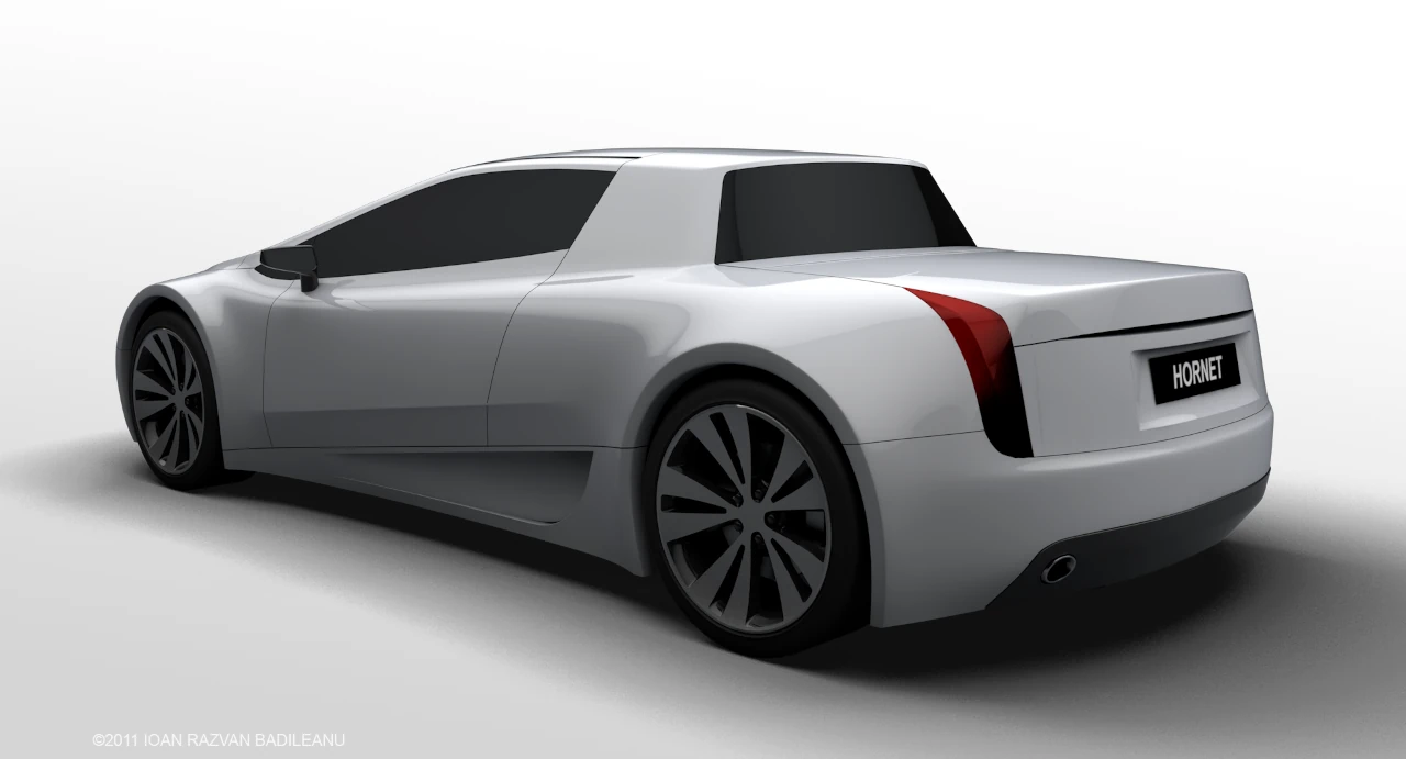 Vedere posterioara R1 Hornet