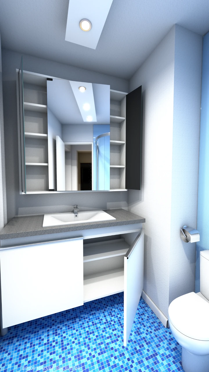 Mirror cabinet detail